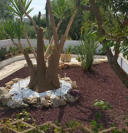 Santo Stefano مونوبولي